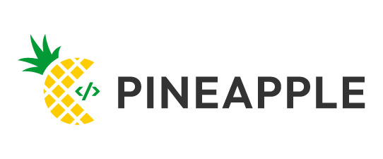 Pineapple - Leading Software Development Company Prague